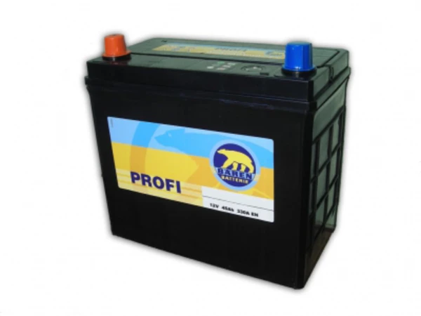 Изображение Profi BÄREN BATTERIE 7903223 Profi BÄREN BATTERIE 7903223