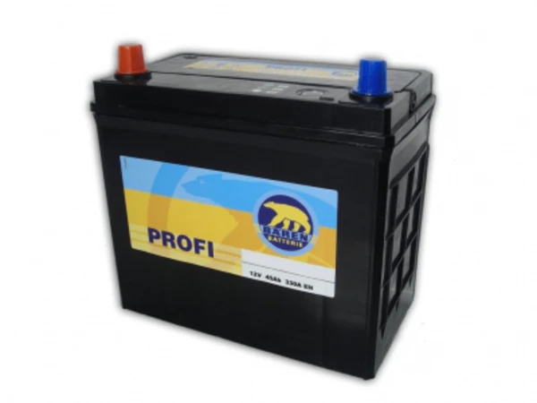 Изображение Profi BÄREN BATTERIE 7903229 Profi BÄREN BATTERIE 7903229