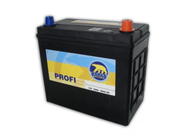 Изображение Profi BÄREN BATTERIE 7903220 Profi BÄREN BATTERIE 7903220