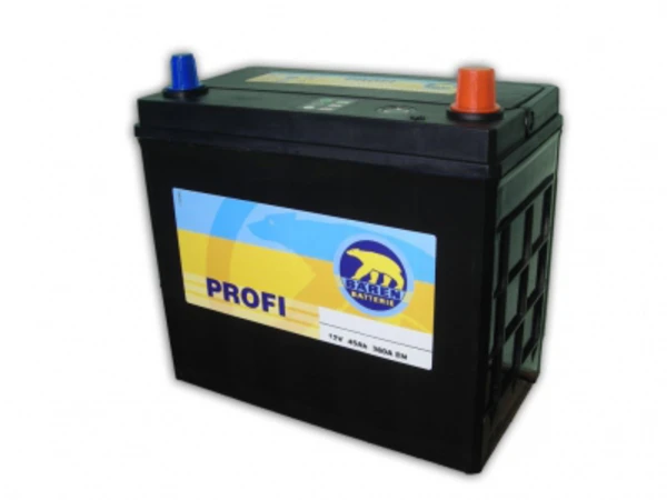 Profi BÄREN BATTERIE 7903226