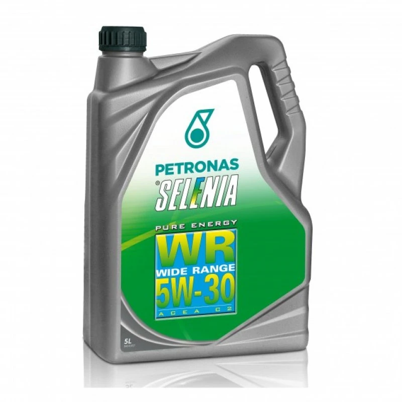 Масло моторное SELENIA 5W-30 5л 70205M12EU