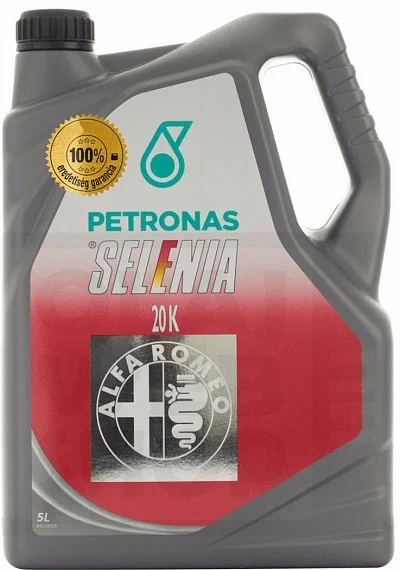 Масло моторное SELENIA 10W-40 5л 16405019