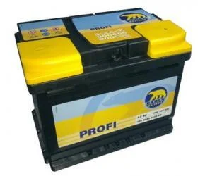 Profi BÄREN BATTERIE 7903229