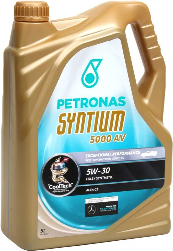 Масло моторное SYNTIUM 5W-30 5л 70273M12EU